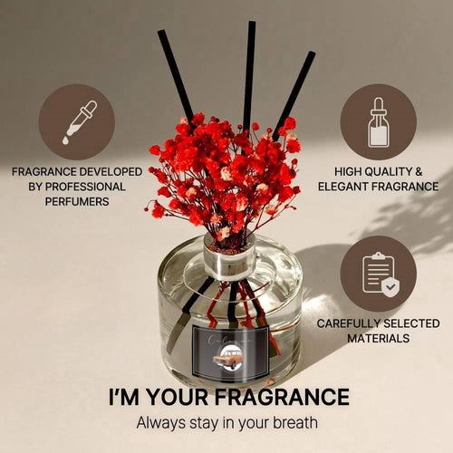 Balventa Cologne Fragrance Refill